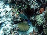 2011-09-05 14-04-55 Steven